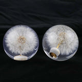 Dandelion Crystal Bubble Shift Gear Knob