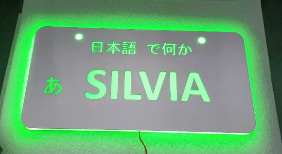 JDM Silvia LED Light Up License Plates - Tokyo Tom's