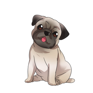 PUG (COCONUT SCENT)