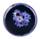 15cm Purple Blue Hana Gear Knob