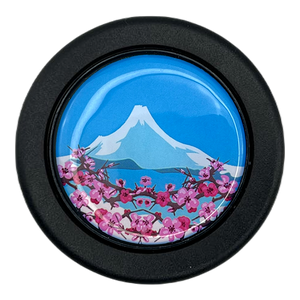Fuji Horn Button